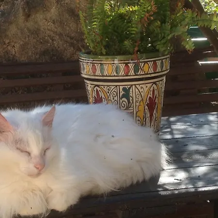 Πανσιόν Ca' La Somara