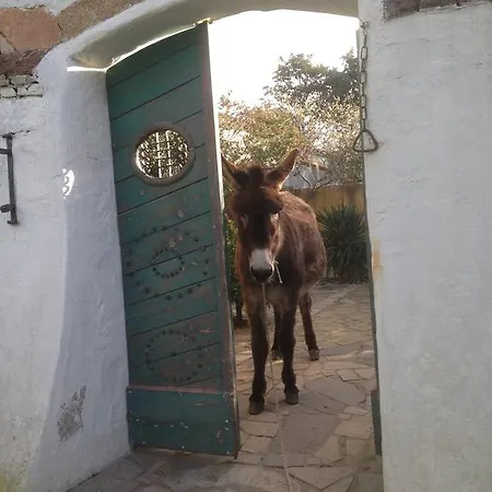 Ca' La Somara San Pantaleo