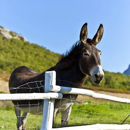 Πανσιόν Ca' La Somara San Pantaleo