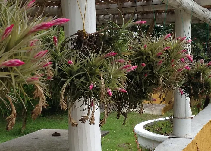 Ca' La Somara 3* San Pantaleo