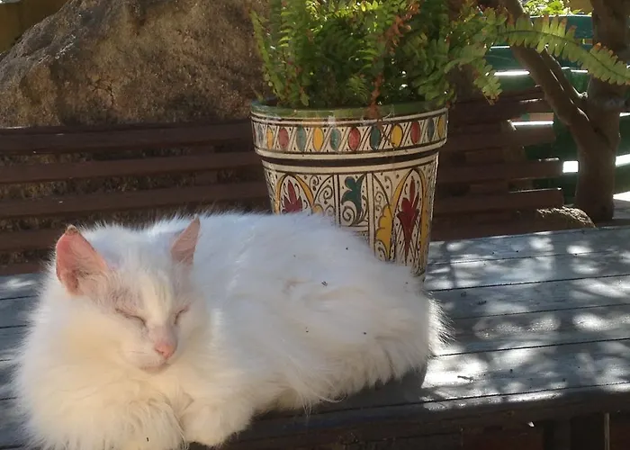 Vendégház Ca' La Somara