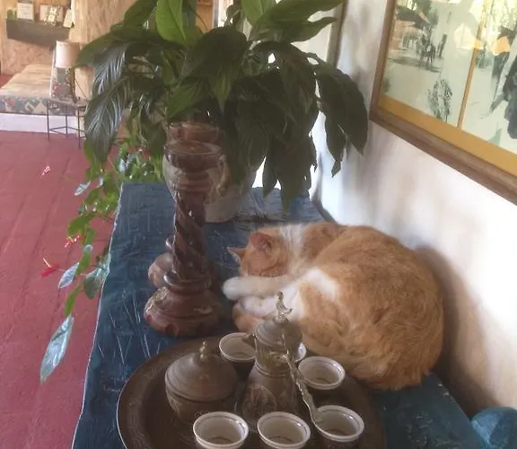 Vendégház Ca' La Somara San Pantaleo