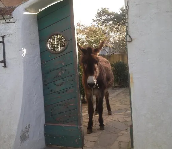 Ca' La Somara San Pantaleo