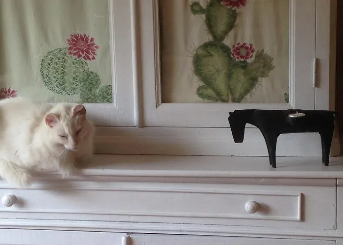 Ca' La Somara Vendégház San Pantaleo