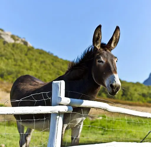 Vendégház Ca' La Somara San Pantaleo