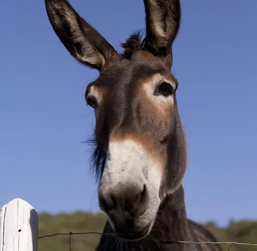 Vendégház Ca' La Somara San Pantaleo