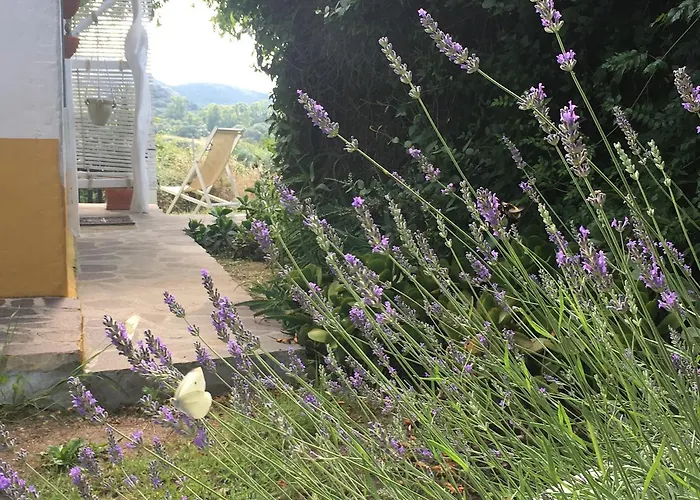 Ca' La Somara Vendégház San Pantaleo